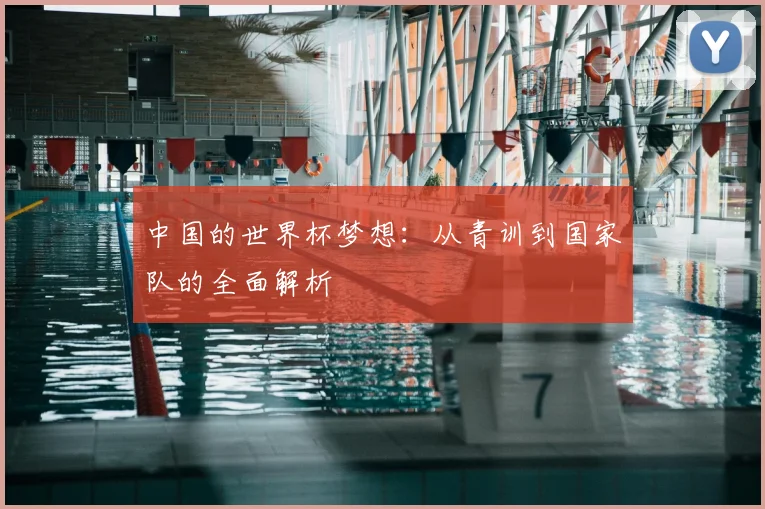 中国的世界杯梦想：从青训到国家队的全面解析