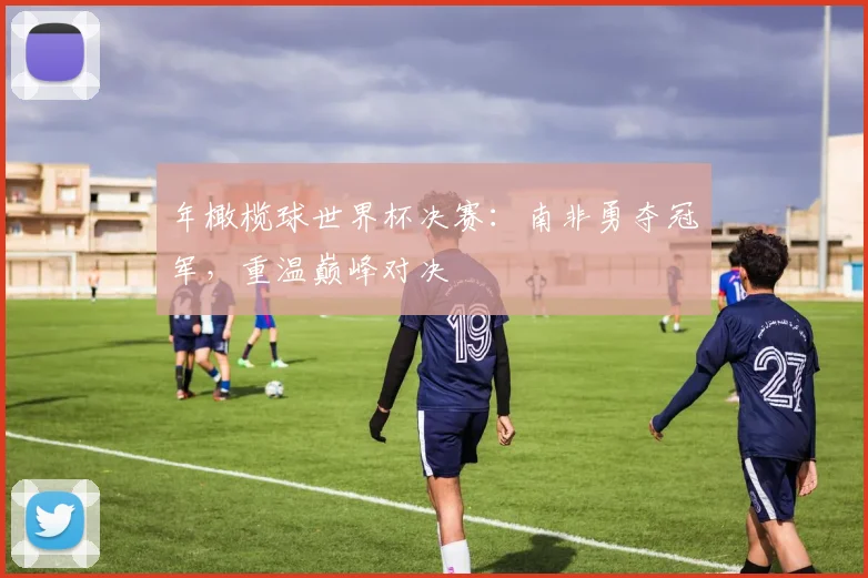 年橄榄球世界杯决赛:南非勇夺冠军,重温巅峰对决
