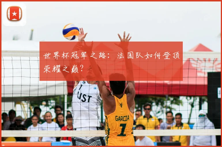 世界杯冠军之路:法国队如何登顶荣耀之巅?