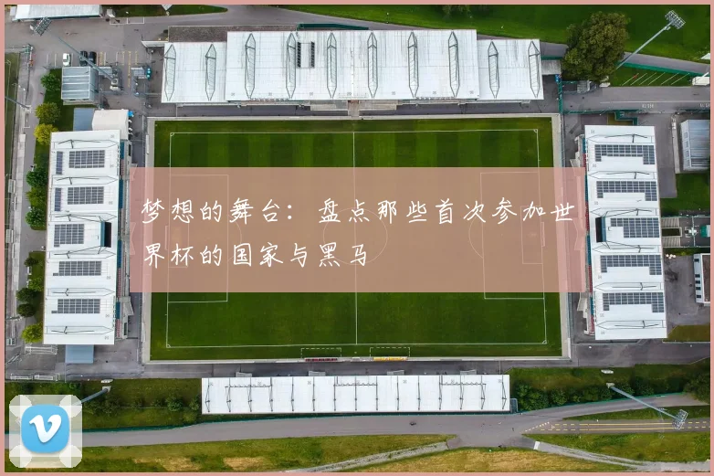梦想的舞台：盘点那些首次参加世界杯的国家与黑马