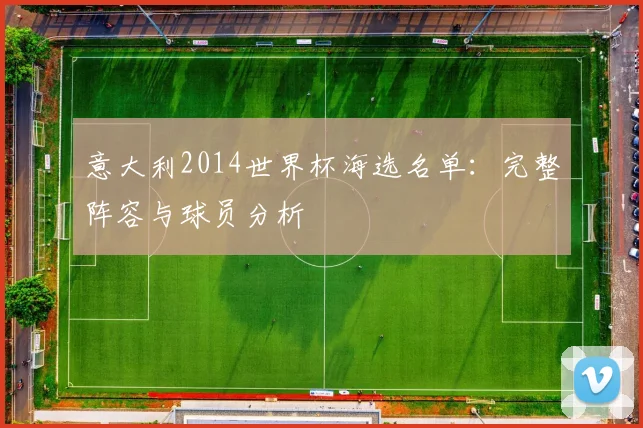 意大利2014世界杯海选名单:完整阵容与球员分析