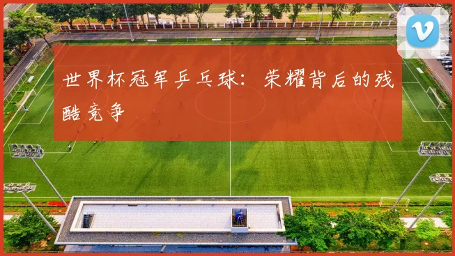 世界杯冠军乒乓球:荣耀背后的残酷竞争