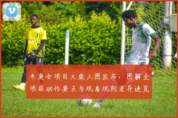 冬奥会项目火柴人图发布，图解全项目动作要点与观看规则差异速览